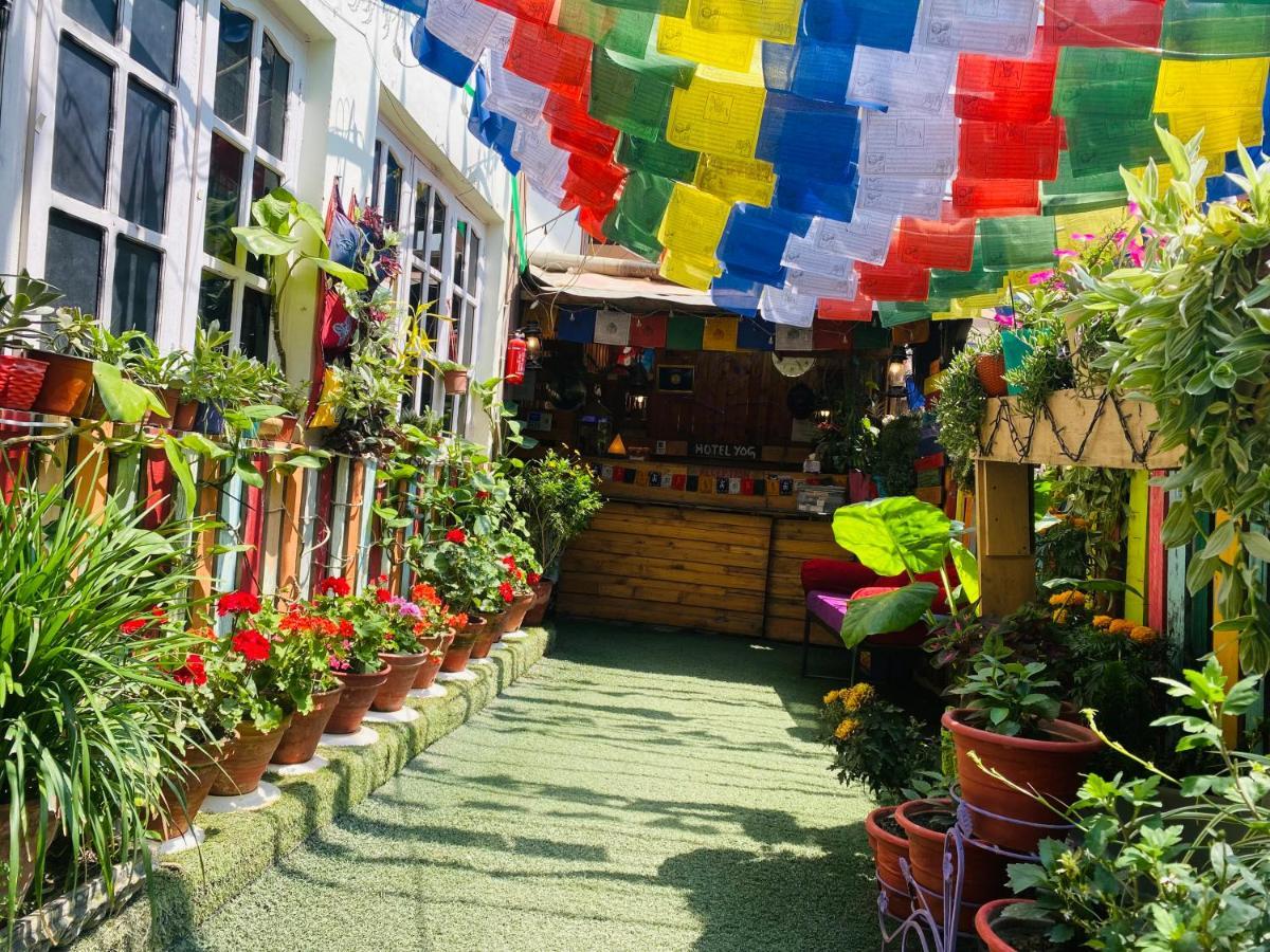 Yog Hostel Катманду Екстериор снимка